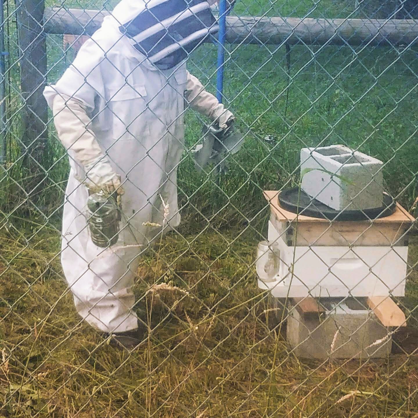 695e1b3a-15b4-48bf-b637-5bee593dc8fe